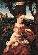 Madonna with Grape HERRERA, Francisco de, the Elder